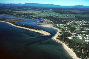 Bridport Aerial