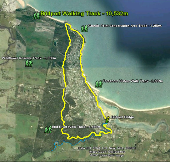 Circuit Map, Bridport Walking Track